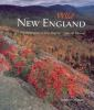 Wild_New_England