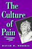 The_culture_of_pain