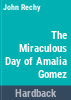 The_miraculous_day_of_Amalia_G__mez