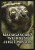 Jungle_Masters