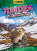Tundra_Life_Connections