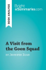 A_Visit_from_the_Goon_Squad_by_Jennifer_Egan__Book_Analysis_