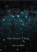 One_secret_thing