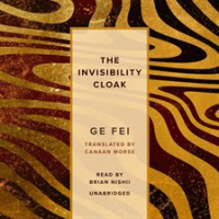 The_Invisibility_Cloak